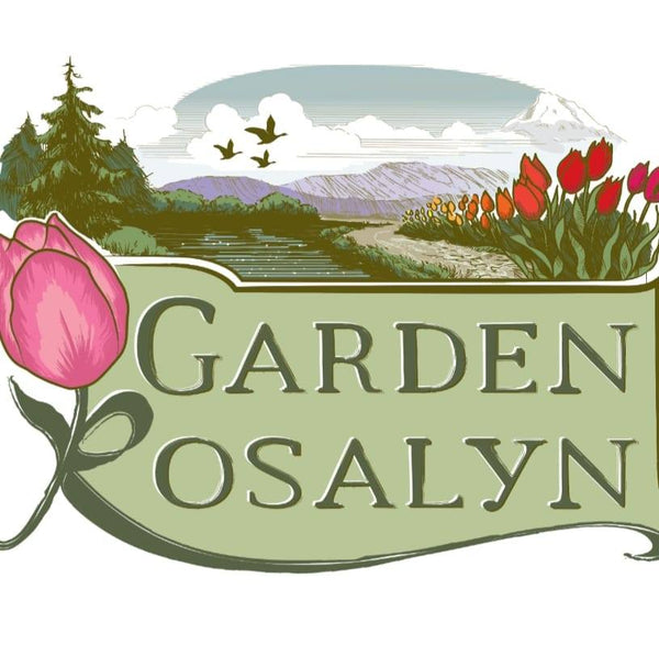 Garden Rosalyn